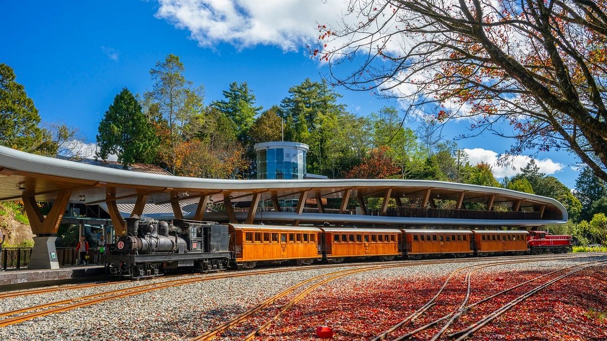 比阿里山、故宮更必去!嘉義「1超強隱藏景點」,遊客大讚:免門票風景絕美、美食多豐富好玩