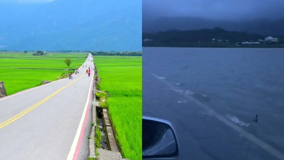 海葵颱風帶來豪雨,台東伯朗大道淹成一片汪洋。(圖/翻攝自台東觀光旅遊網、tiktok @ggguuaan)