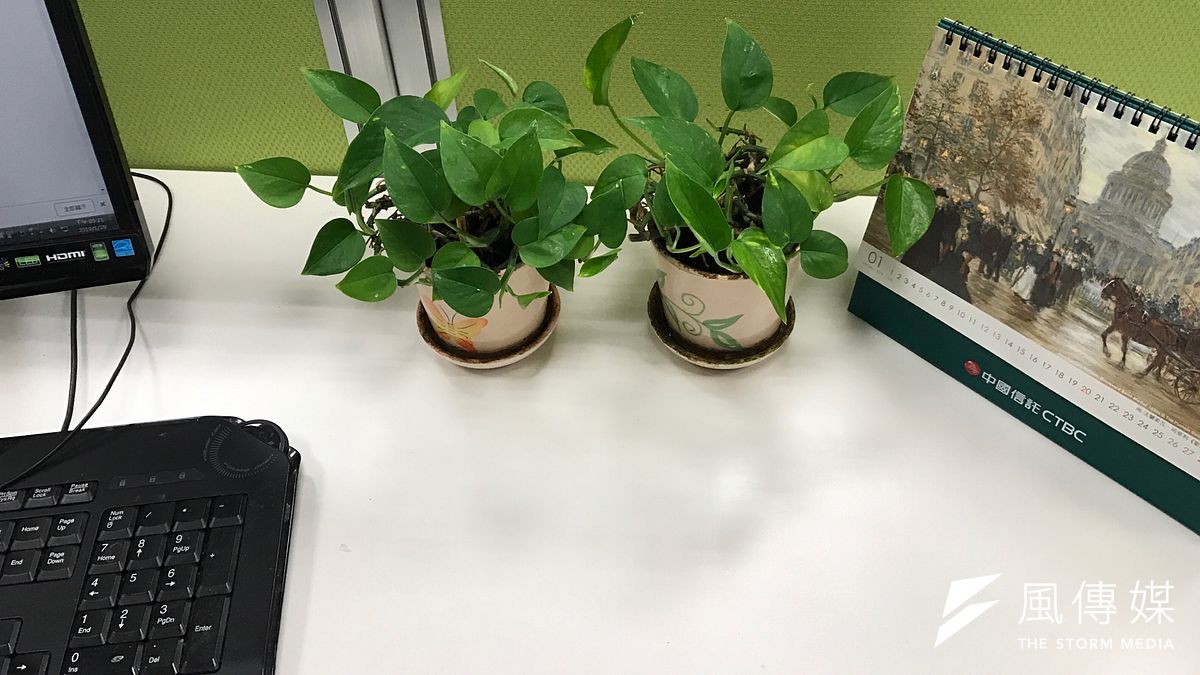 台北醫學大學公共衛生學院最新研究指出,家中有放這3種盆栽植物,空氣污染中細懸浮微粒PM2.5濃度,比沒有盆栽的家庭來得低。(風傳媒) 台北醫學大學公共衛生學院最新研究指出,家中有放這3種盆栽植物,空氣污染中細懸浮微粒PM2.5濃度,比沒有盆栽的家庭來得低。(風傳媒)