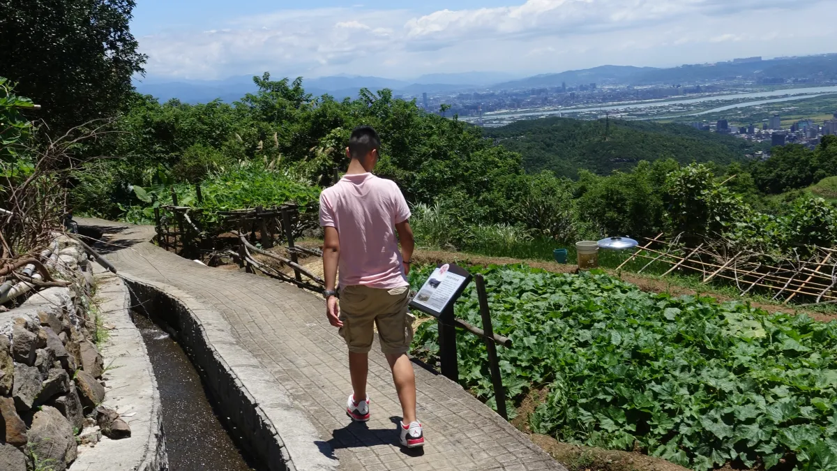 東昇步道遠眺大台北景觀(臺北市工務局大地工程處提供)