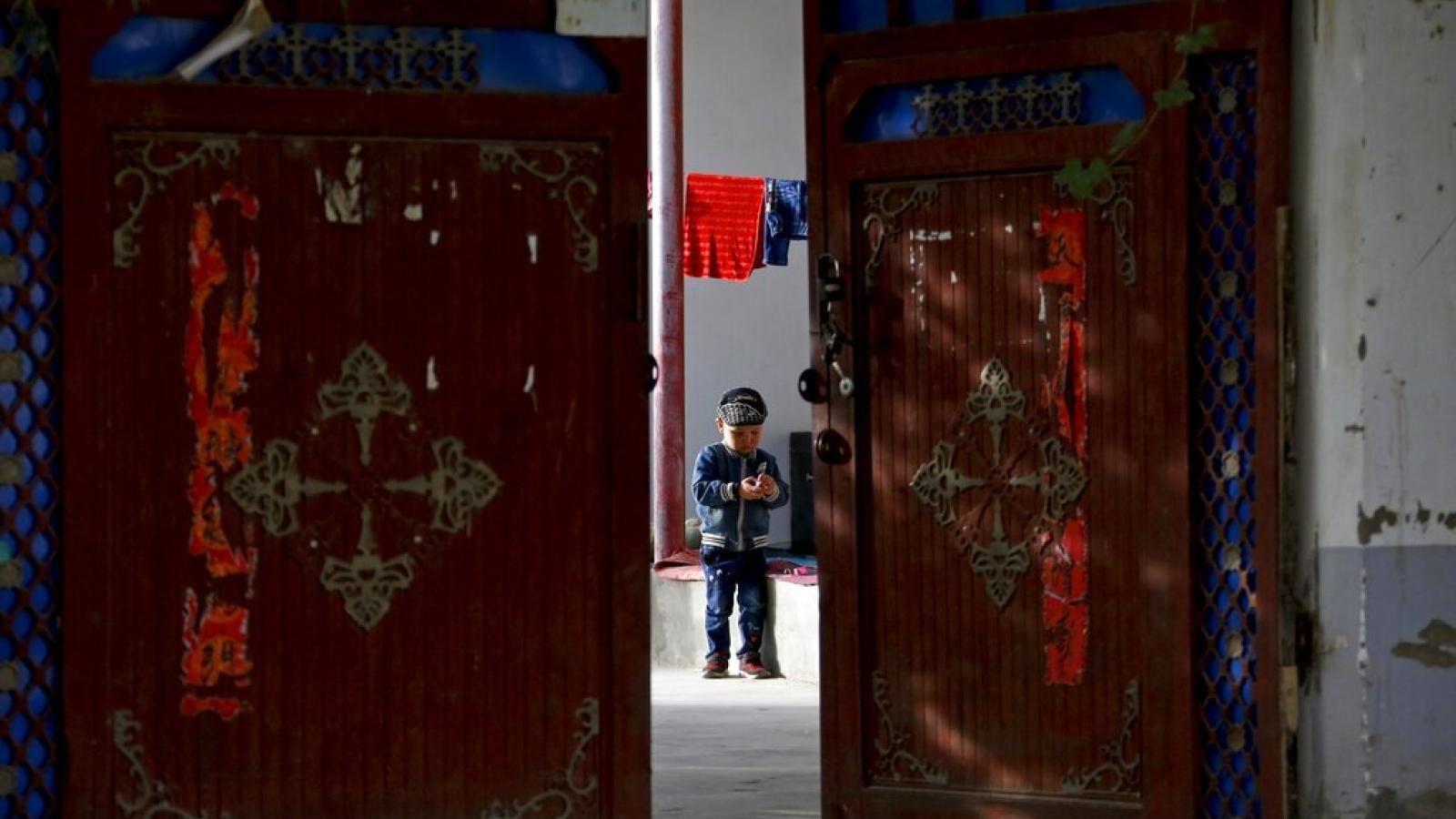北京觀察》鄉村小學改養老院!中國1年減少8000所小學,少子化海嘯下恐向上傳導至大學