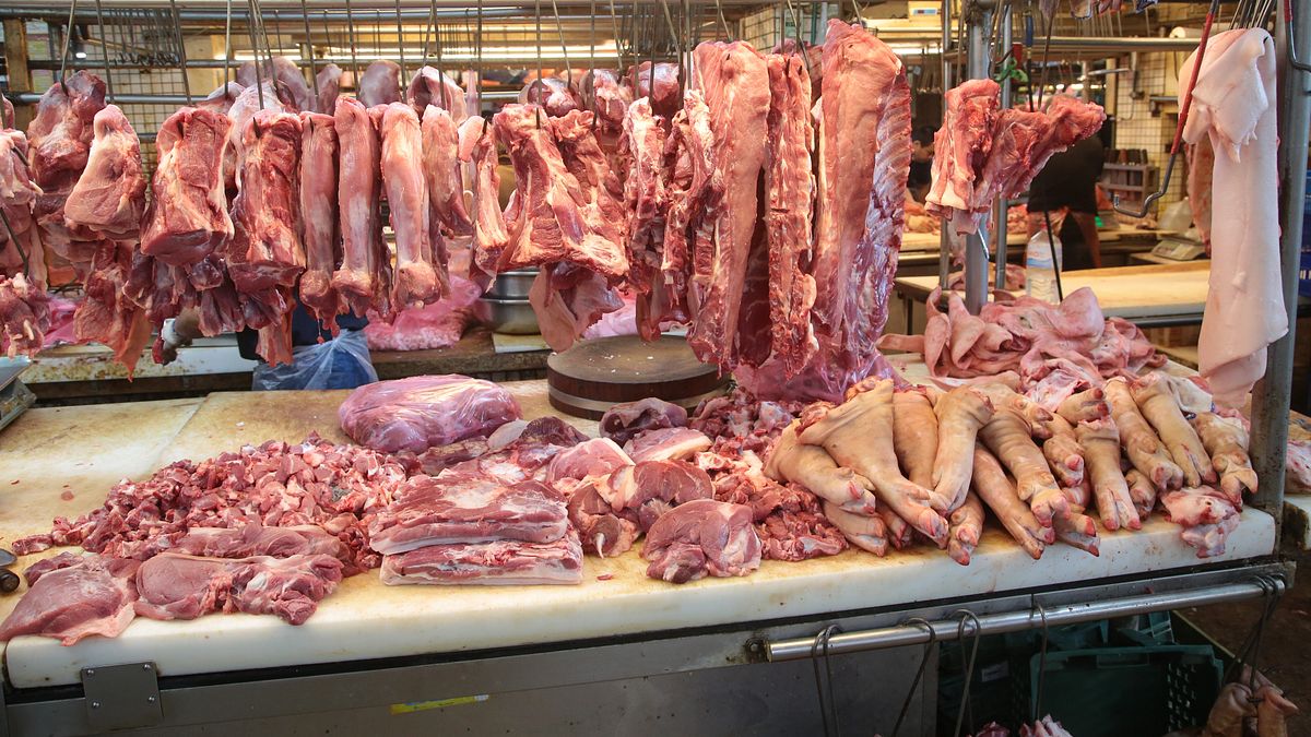 「吃豬瘟豬肉」會出事嗎?彰化4暴斃死豬檢驗結果出爐 病毒討厭「這溫度」