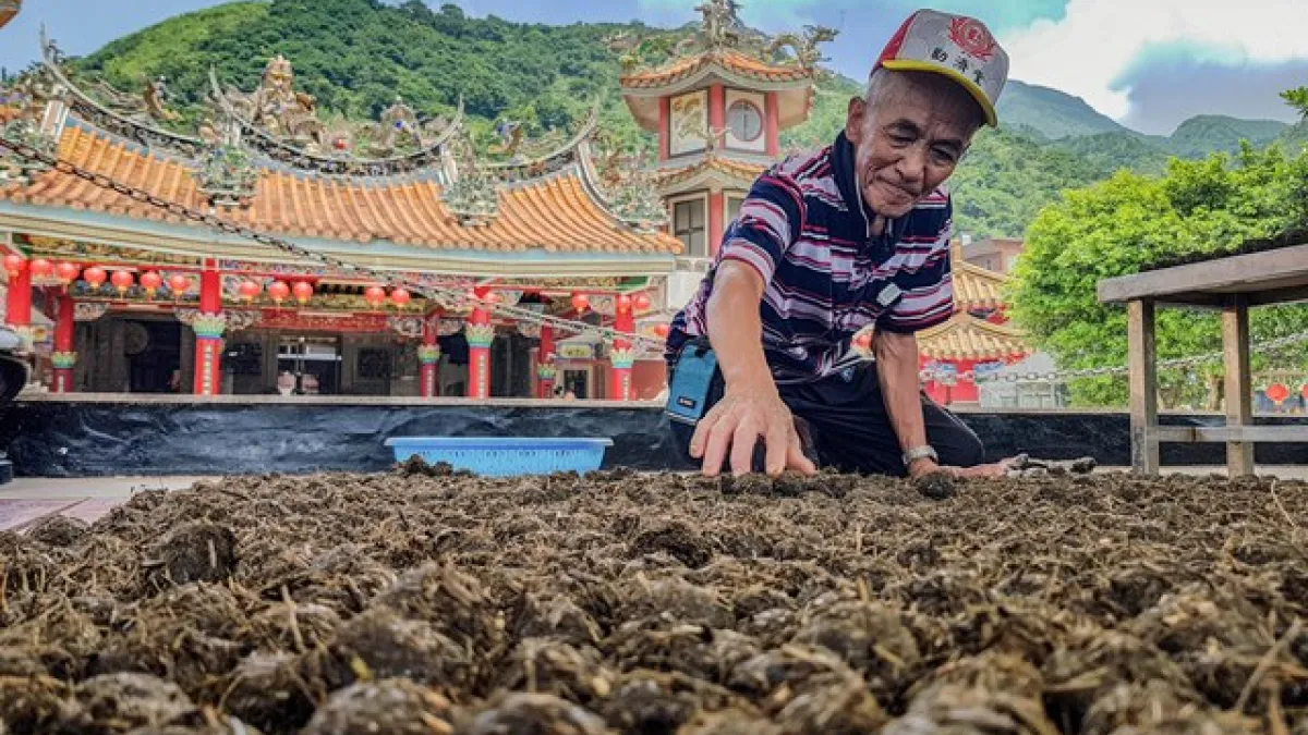 百草丹是早期地方居民的醫療依託,青草祭雖不再每年舉辦,卻是在地一項重要的無行文化資產,象徵在地精神。(圖/新北市立黃金博物館提供)