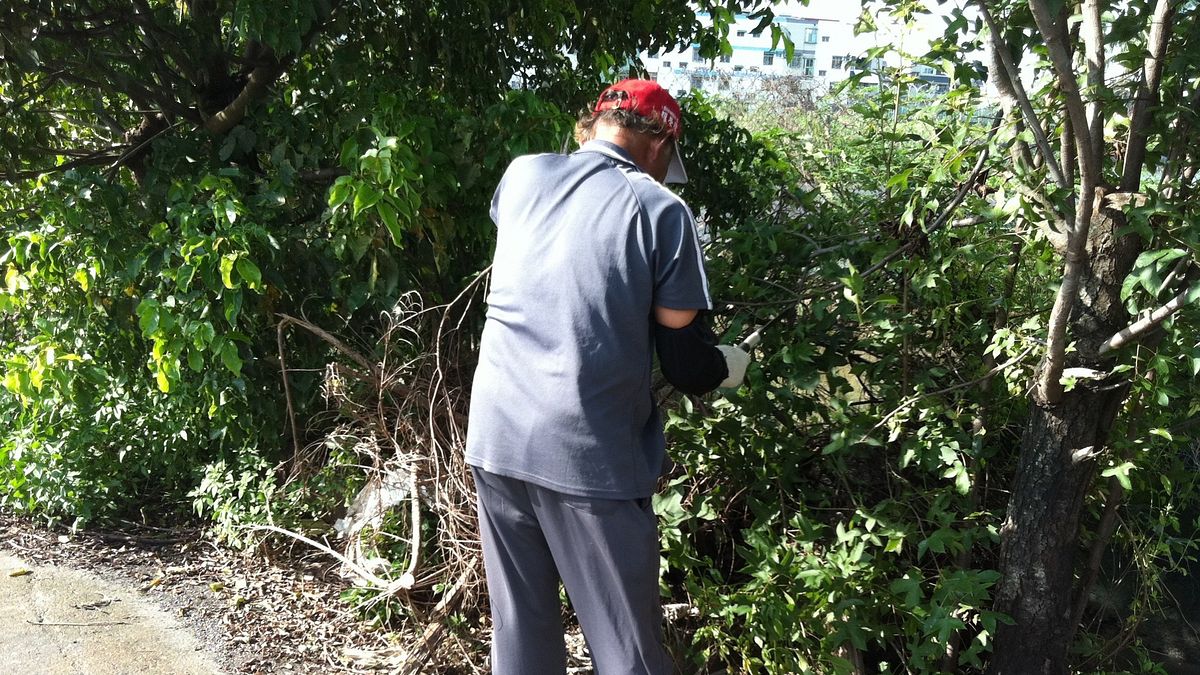 部高分署推介更生人至農場園藝工職缺,誠懇表現獲老闆青睞錄取。(圖/勞動力發展署高屏澎東分署提供) 部高分署推介更生人至農場園藝工職缺,誠懇表現獲老闆青睞錄取。(圖/勞動力發展署高屏澎東分署提供)