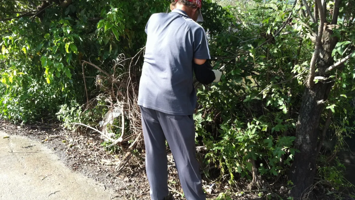 部高分署推介更生人至農場園藝工職缺,誠懇表現獲老闆青睞錄取。(圖/勞動力發展署高屏澎東分署提供)