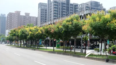 台灣欒樹黃花、紅果及綠葉交織成繽紛的色彩,為秋天的高雄捎來金風送爽韻味,活潑了蕭瑟的秋日。(圖/徐炳文攝)