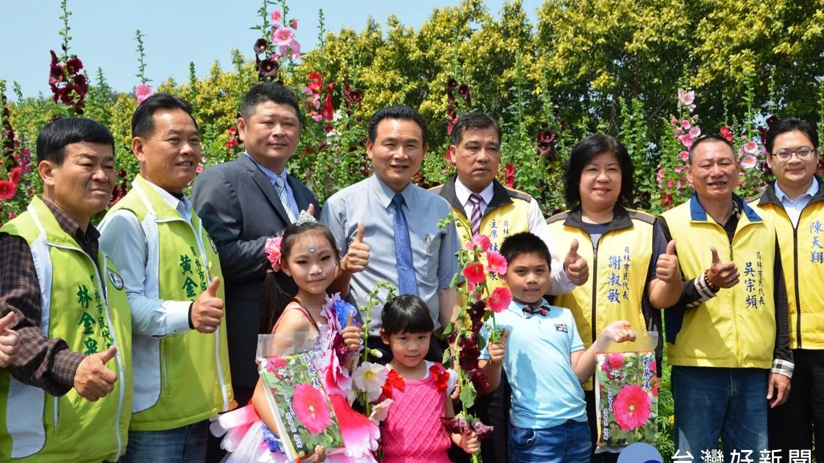 暖冬影響 員林蜀葵花節延長至3月底