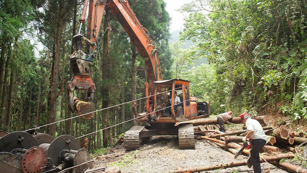 如果不挖山,地球上還有什麼材料足夠支持幾十億人蓋房子、造橋鋪路呢?難不成高樓大廈、集合住宅都用木材蓋嗎?(示意圖/Taiwan_Mountain@flickr) 如果不挖山,地球上還有什麼材料足夠支持幾十億人蓋房子、造橋鋪路呢?難不成高樓大廈、集合住宅都用木材蓋嗎?(示意圖/Taiwan_Mountain@flickr)