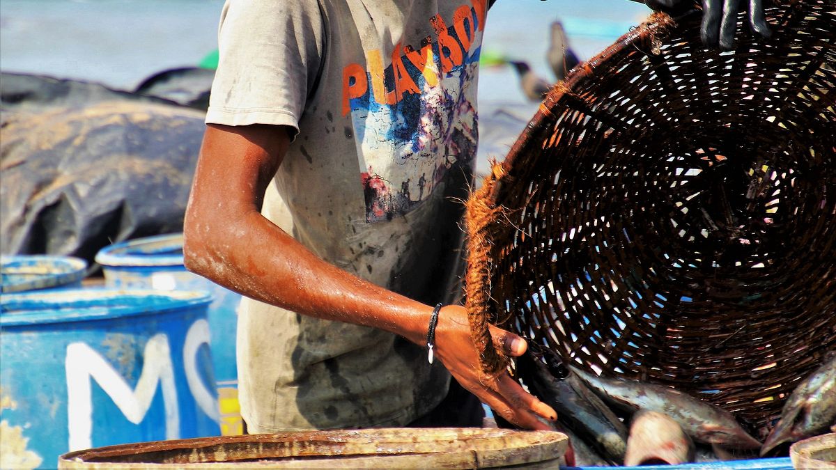 作者認為,在台灣東南亞移工相關組織很多,但是這些組織都是「幫助」東南亞移工,台灣人依舊看不到東南亞的優勢是什麼。(資料照,示意圖/pixabay) 作者認為,在台灣東南亞移工相關組織很多,但是這些組織都是「幫助」東南亞移工,台灣人依舊看不到東南亞的優勢是什麼。(資料照,示意圖/pixabay)