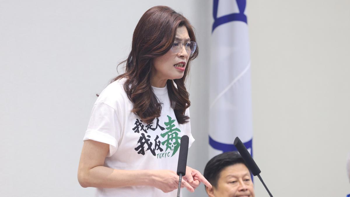 鄭麗文英文專訪曝國民黨2028願景:若執政將改變台灣面貌