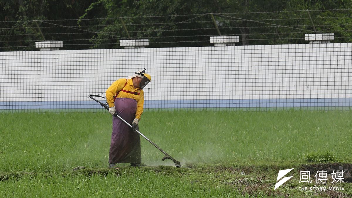高效率的農業機具,可大幅降低人工需求及成本。林瑞慶/攝影 高效率的農業機具,可大幅降低人工需求及成本。林瑞慶/攝影