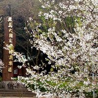 清明4天連假 兒童免費遊奧萬大 清明4天連假 兒童免費遊奧萬大