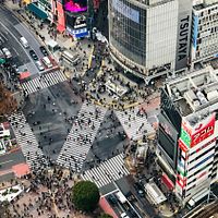 鹿児島県・吐噶喇列島では6月21日以降、地震が相次ぎ、これまでに847回の地震が記録されている。震度5弱を含む揺れも複数回発生し、7月2日未明には悪石島沖を震源とするマグニチュード5.1の地震が発生した。余震が続く中、地元の村長は現時点で避難を開始していないとしたものの、生活が困難になれば撤退を再検討すると述べている。(イメージ写真/Unsplash) 鹿児島県・吐噶喇列島では6月21日以降、地震が相次ぎ、これまでに847回の地震が記録されている。震度5弱を含む揺れも複数回発生し、7月2日未明には悪石島沖を震源とするマグニチュード5.1の地震が発生した。余震が続く中、地元の村長は現時点で避難を開始していないとしたものの、生活が困難になれば撤退を再検討すると述べている。(イメージ写真/Unsplash)