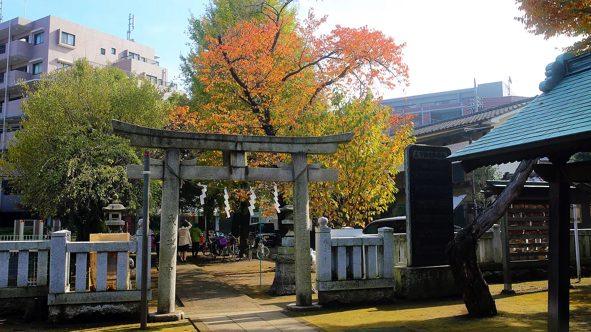 從東京的森林出發!與36間隱身在東京森林中的咖啡店邂逅。(圖/Toomore Chiang@Flickr)
