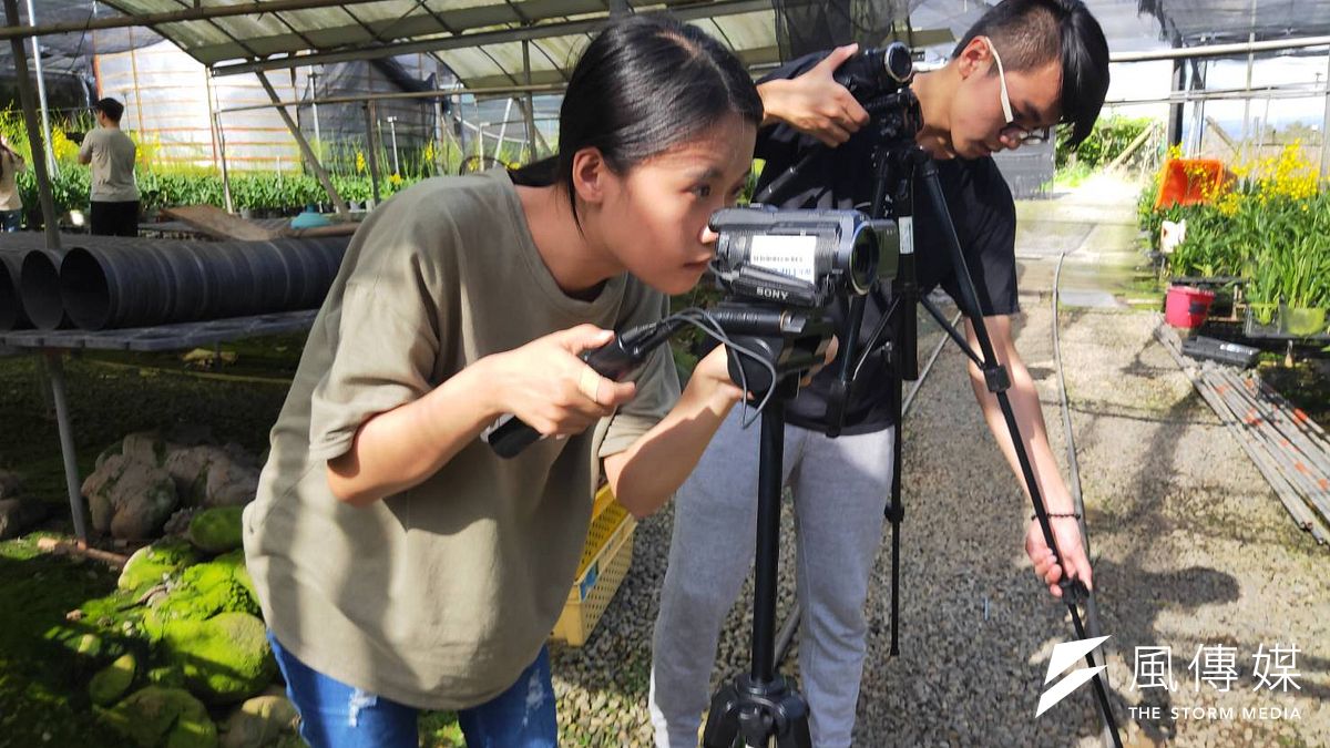 修平科大學生參與農事操作,展現五力中的服務力態度。(圖/王秀禾攝) 修平科大學生參與農事操作,展現五力中的服務力態度。(圖/王秀禾攝)