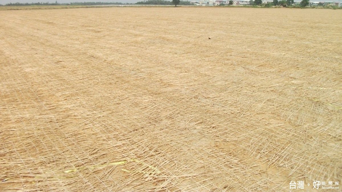 農民燃燒稻草釀空汙 台東環局警告將開罰 農民燃燒稻草釀空汙 台東環局警告將開罰