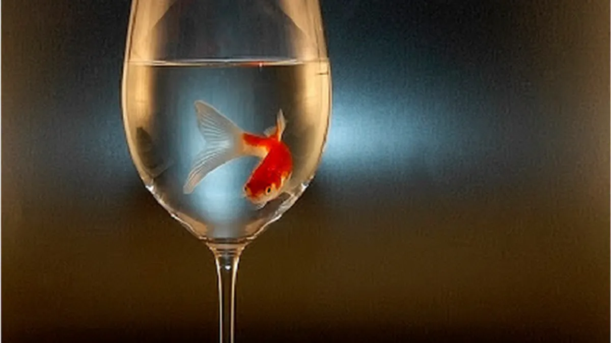 杯底不可飼金魚的作詞人是陳大禹。(圖片來源: capn madd matt@flickr)