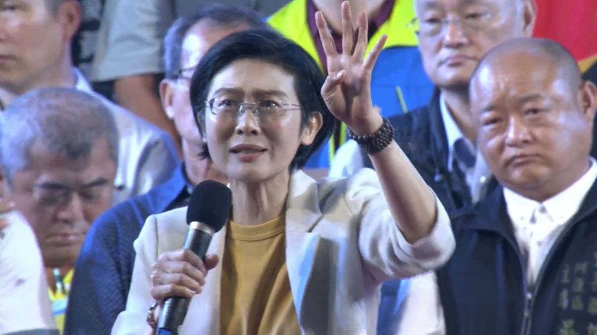 林岱樺「戰到底」綠營走入死局?沈富雄預言1事:高雄恐成三腳督