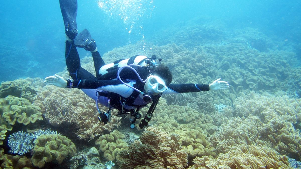 生活在沖繩的自由放鬆氛圍,沒有城市裡急忙的交通燈號,也沒有腳步加快的行人...(圖/顏孝真提供) 生活在沖繩的自由放鬆氛圍,沒有城市裡急忙的交通燈號,也沒有腳步加快的行人...(圖/顏孝真提供)