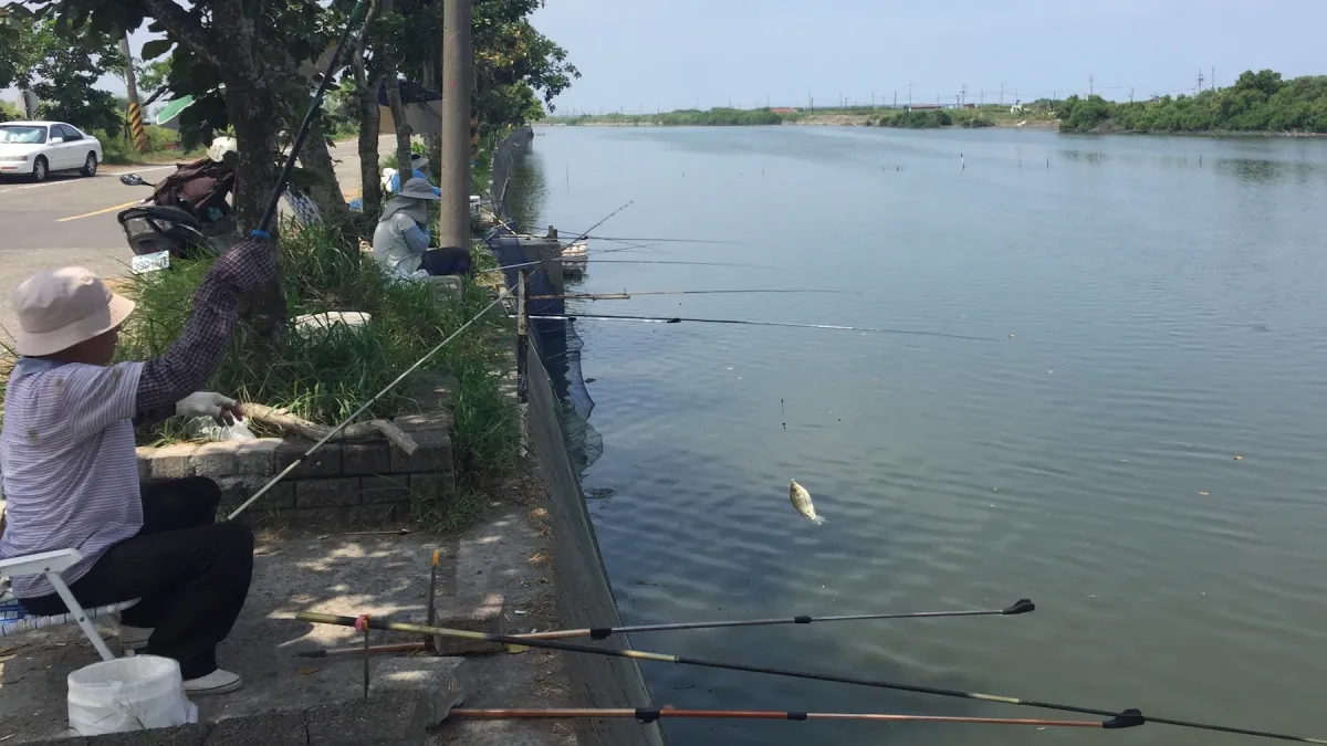 秋季豆仔魚大咬 釣友一竿在手歡樂無窮