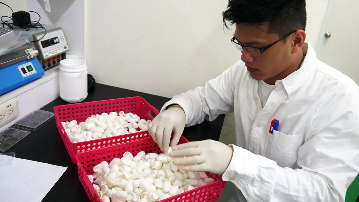 來自南台灣的大男生 南台小子玩蠶絲