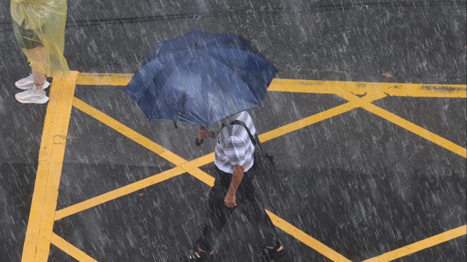 明起又有雨彈來襲!東北季風增強「下周天氣一次看」 氣象署:北部這時下大雨