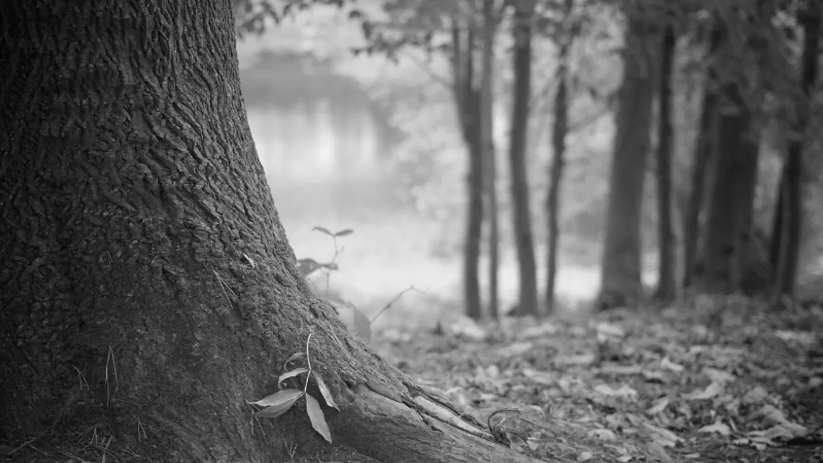 筆者認為,建議基層公務員要善待自己,不要妄想在辦公室死諫能改善職場環境,更別想改變既得利益的長官階層。(示意圖/Pixabay) 筆者認為,建議基層公務員要善待自己,不要妄想在辦公室死諫能改善職場環境,更別想改變既得利益的長官階層。(示意圖/Pixabay)