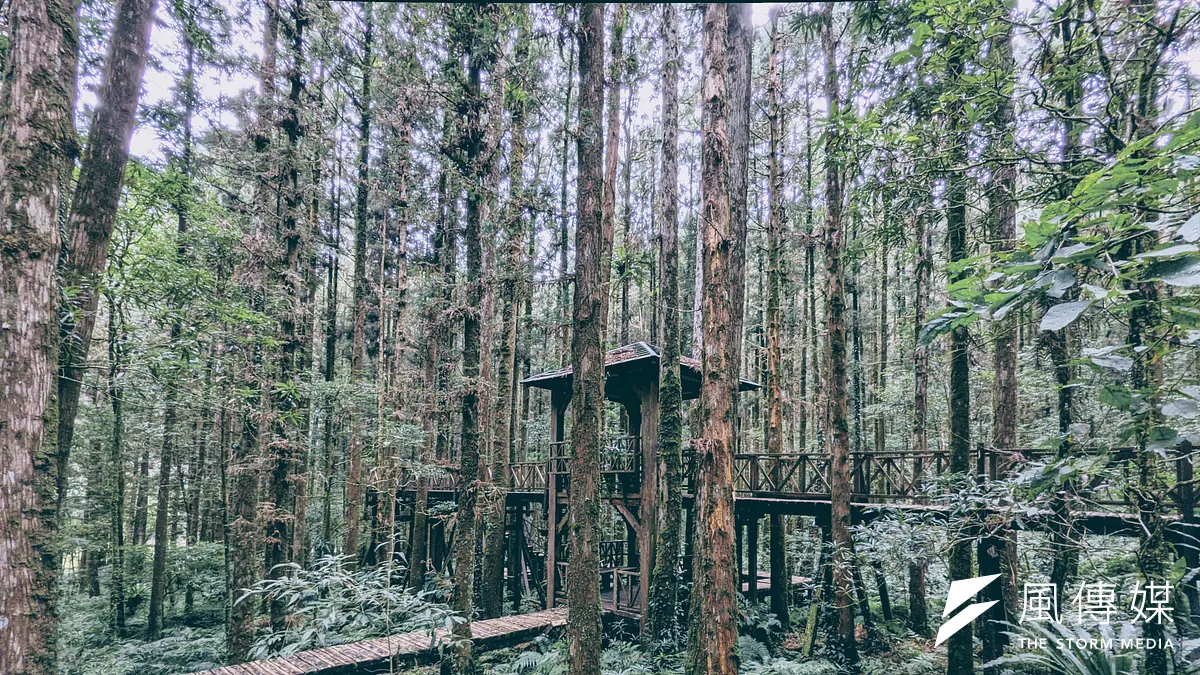 如果你是林地地主,有哪些跟碳相關的方法可以讓你的林地變現呢?(示意圖/洪煜勛攝) 如果你是林地地主,有哪些跟碳相關的方法可以讓你的林地變現呢?(示意圖/洪煜勛攝)