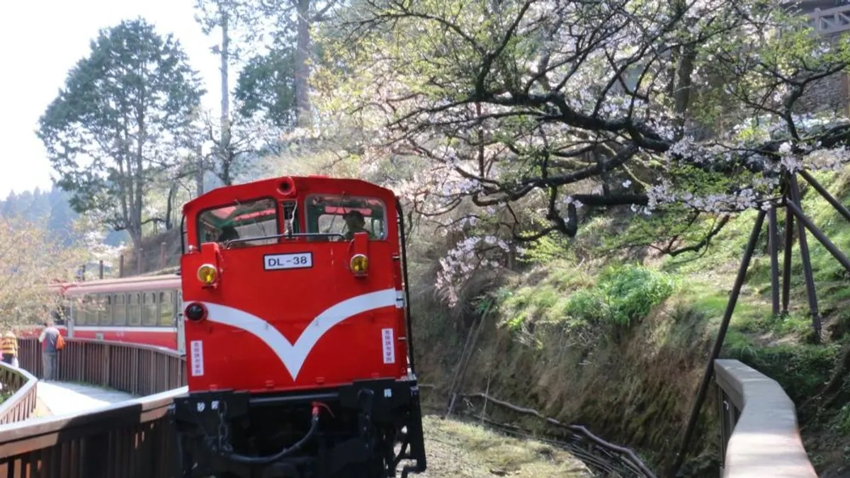 受強颱尼伯特影響 阿里山森鐵8、9日全面停駛