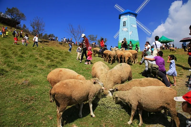 清境農場是南投知名旅遊景點。（圖／翻攝自清境農場官網）