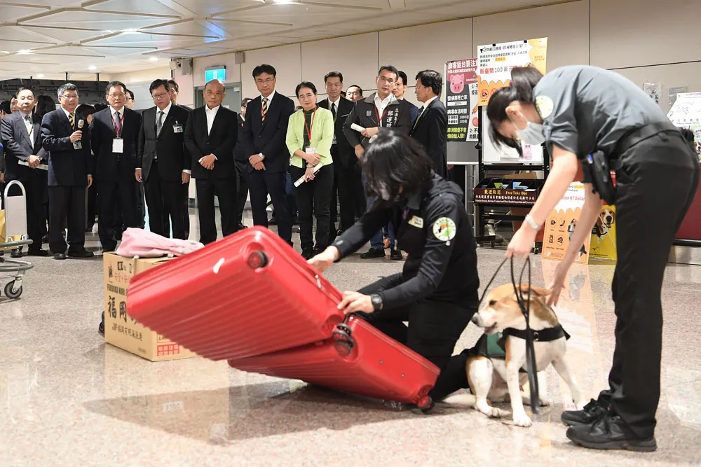 蘇貞昌回鍋上任閣揆的第一天便視察桃園機場，力求將非洲豬瘟疫情防堵在國門外。（行政院提供）
