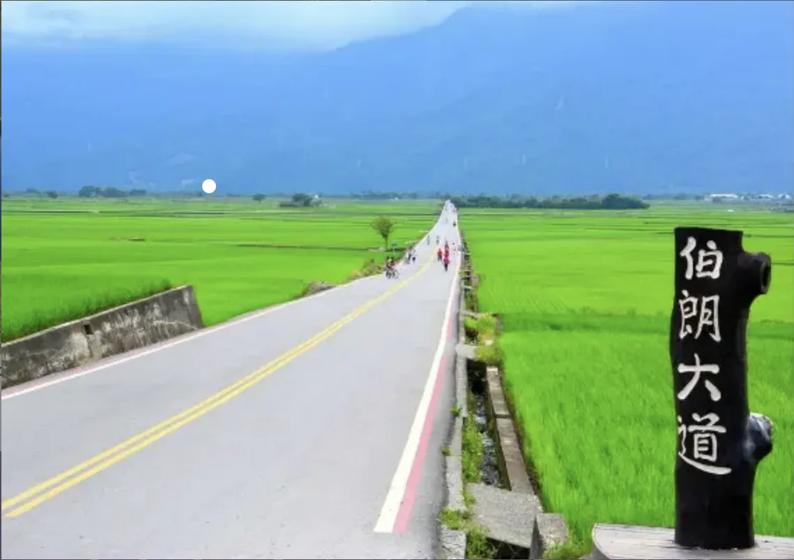 伯朗大道（圖／翻攝自台東觀光旅遊網）