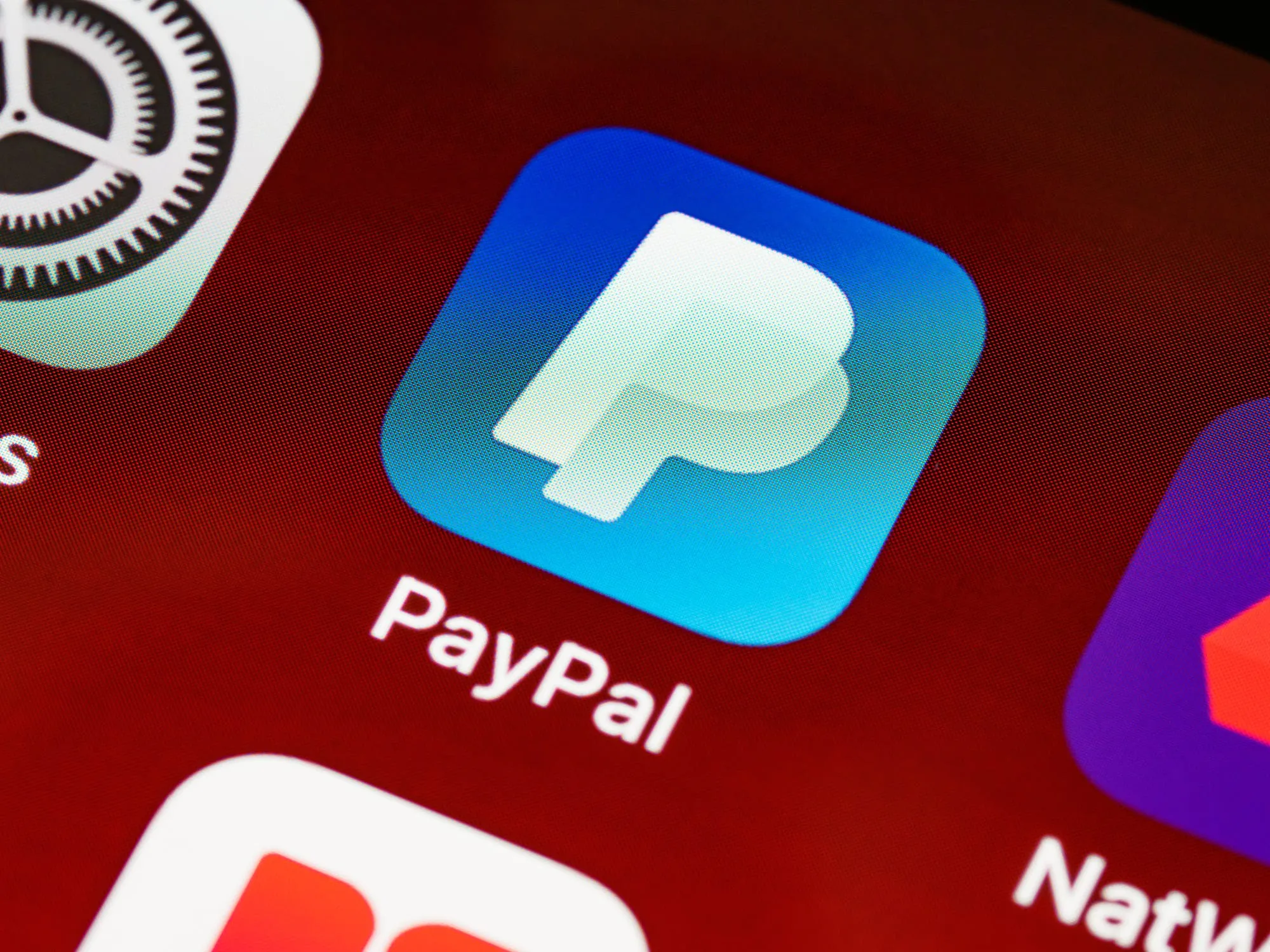 PayPal。（圖／取自免費圖庫pexels）