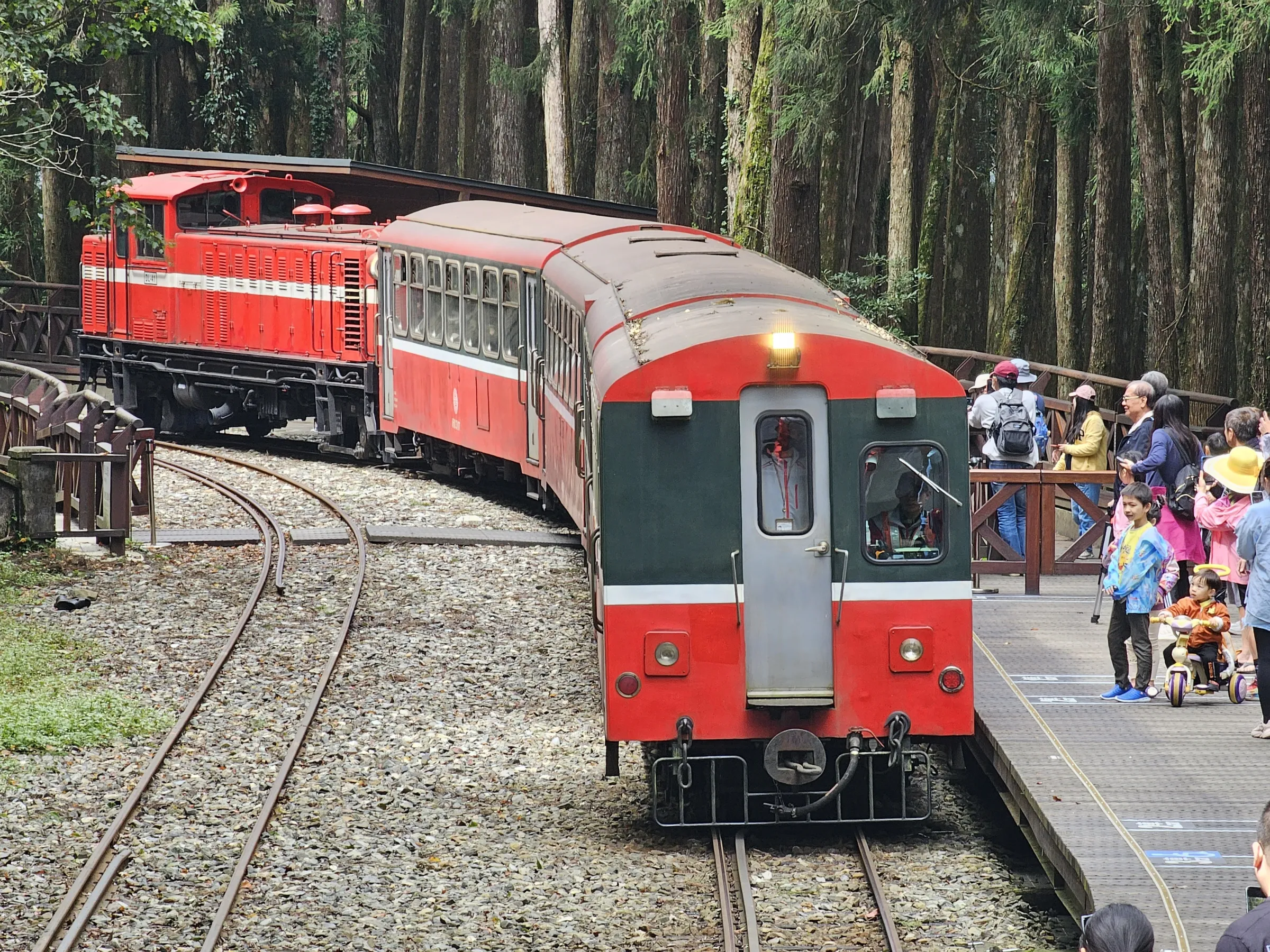 阿里山小火車。（資料照／洪煜勛攝）