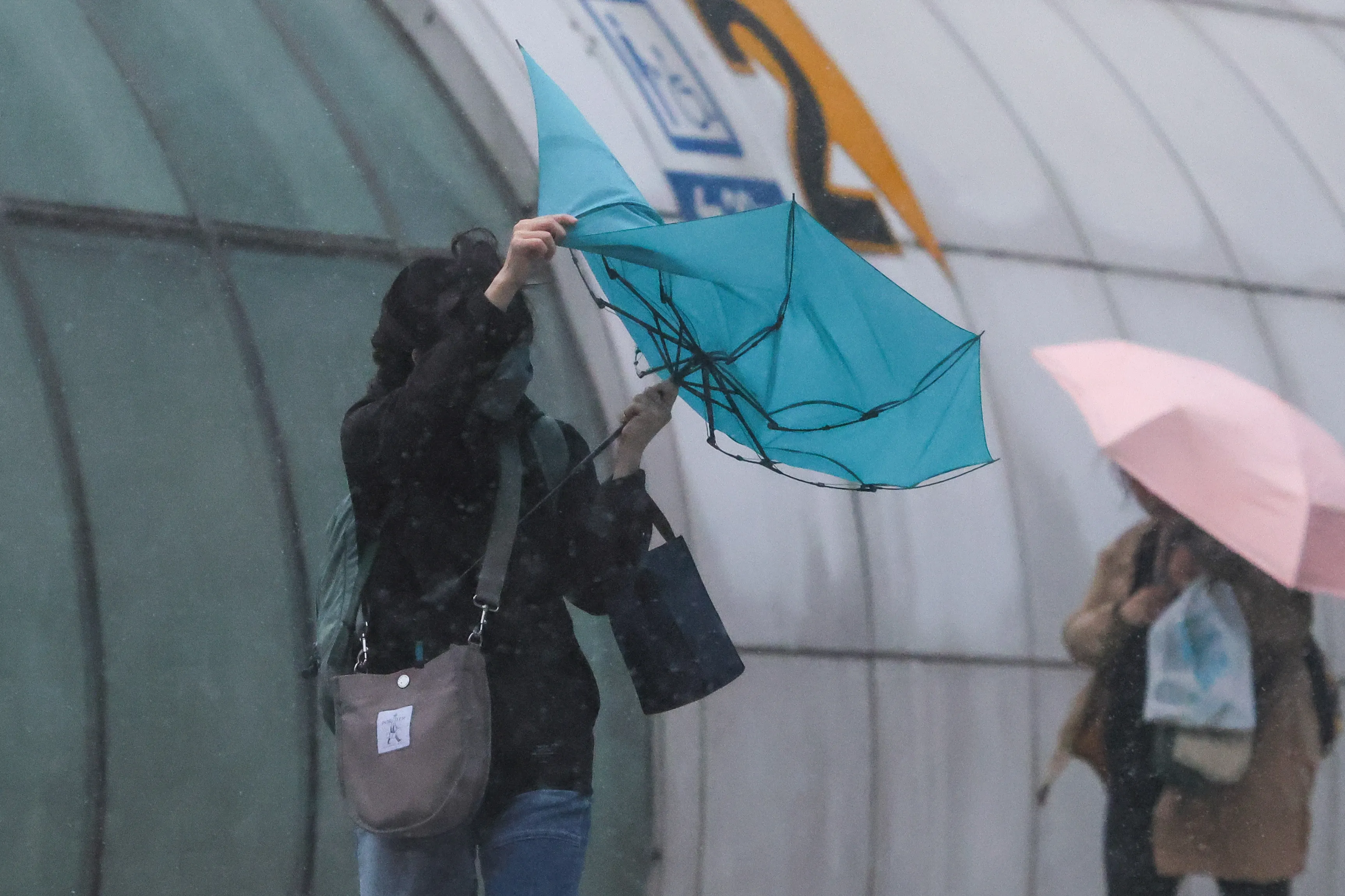 20241031-康芮颱風31日來襲，原訂照常舉辦的劉德華演唱會最終仍宣布停辦，不少民眾至現場撲空而回。（顏麟宇攝）