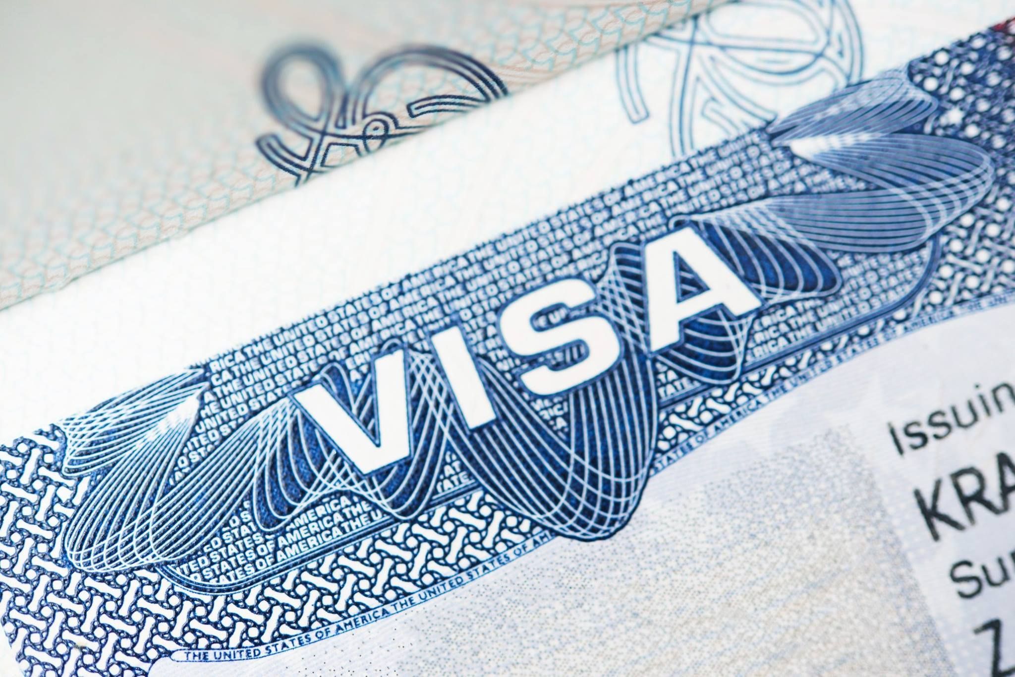 アメリカ入国ビザの様式。（アメリカ国務省より）