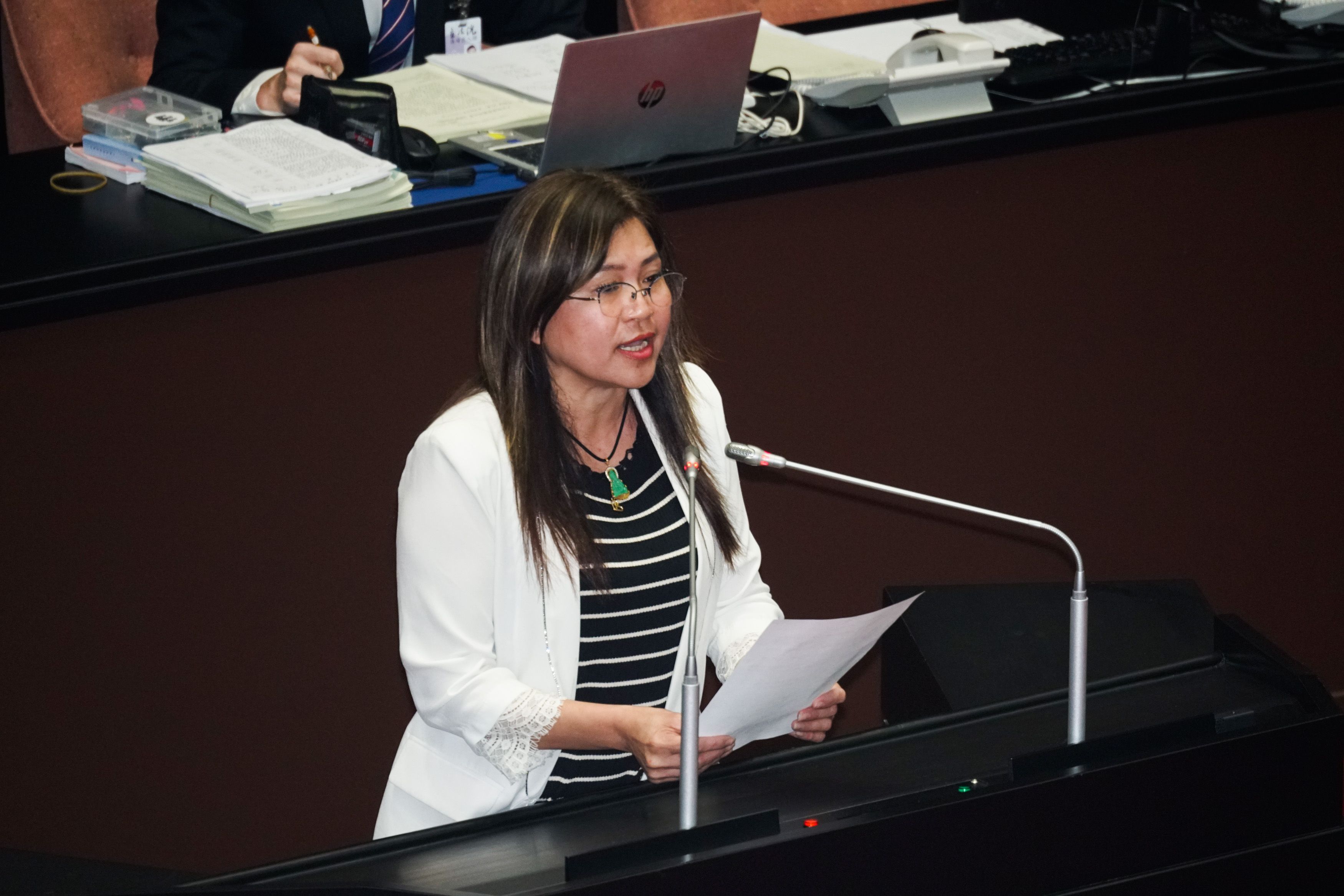 20250509-立法院立委麥玉珍對「紀念節日實施草案」進行發言。（蔡親傑攝）