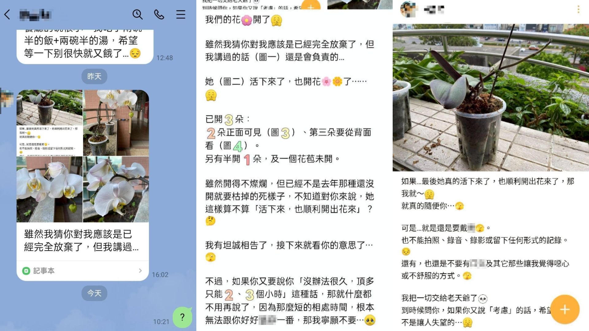 網友公開女師與畢業生的對話。（圖／翻攝自臉書／爆料公社公開版）