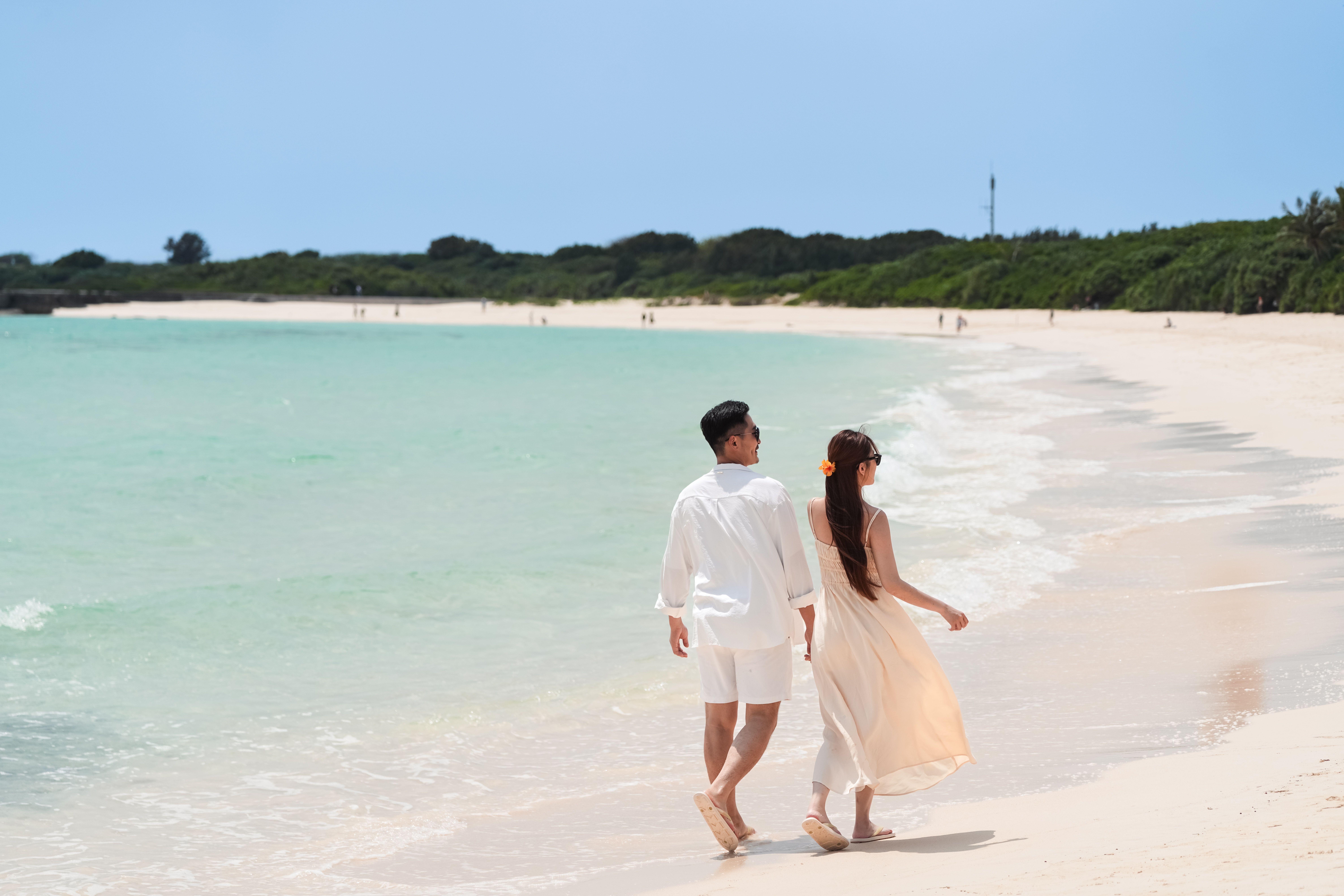 星宇航空與玉山銀行攜手推出聯名卡優惠活動，輸入專屬優惠代碼，即可享限量折扣優惠。數量有限，心動不如馬上行動！