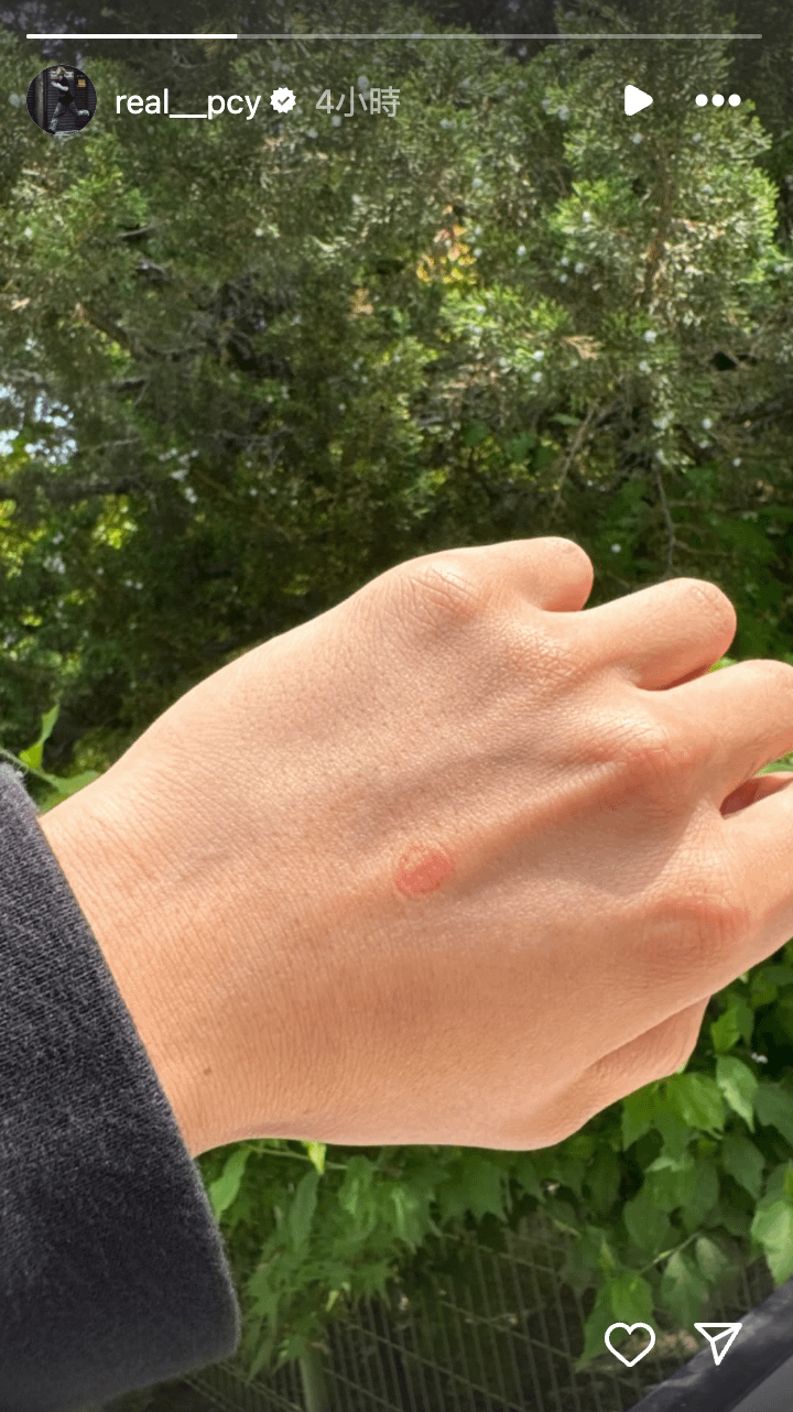 男團EXO成員燦烈在Instagram分享完成投票的認證照。（翻攝自燦烈IG）