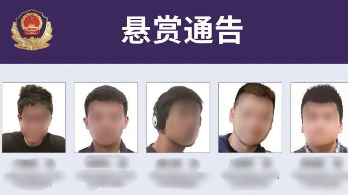 （圖／翻攝大陸公安）