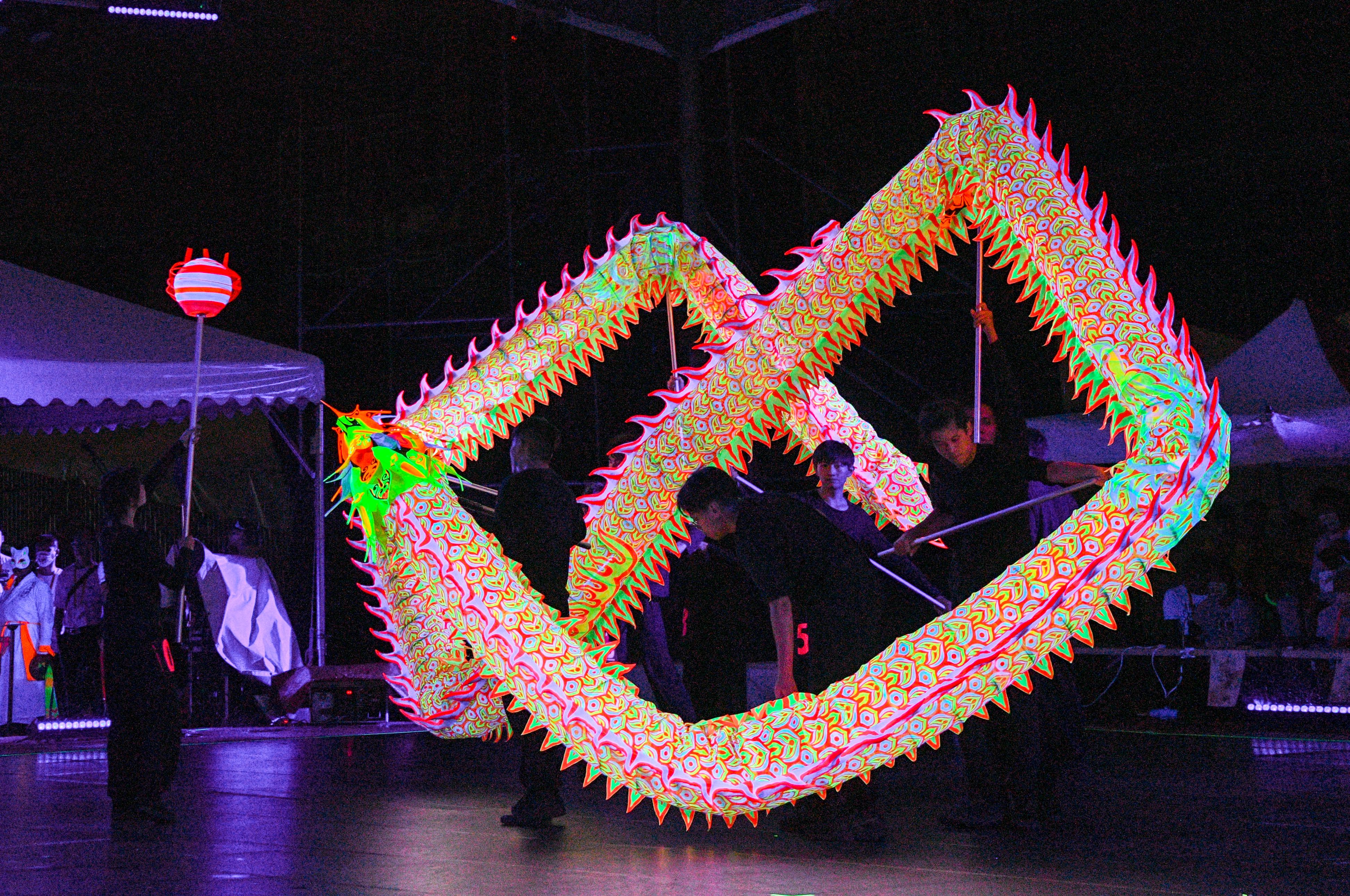 圖說：「國際龍獅邀請賽」今年邀請技藝超群的龍獅藝陣團隊及菁英選手來臺競秀，世界級精彩賽事不容錯過。（圖/桃園市政府）