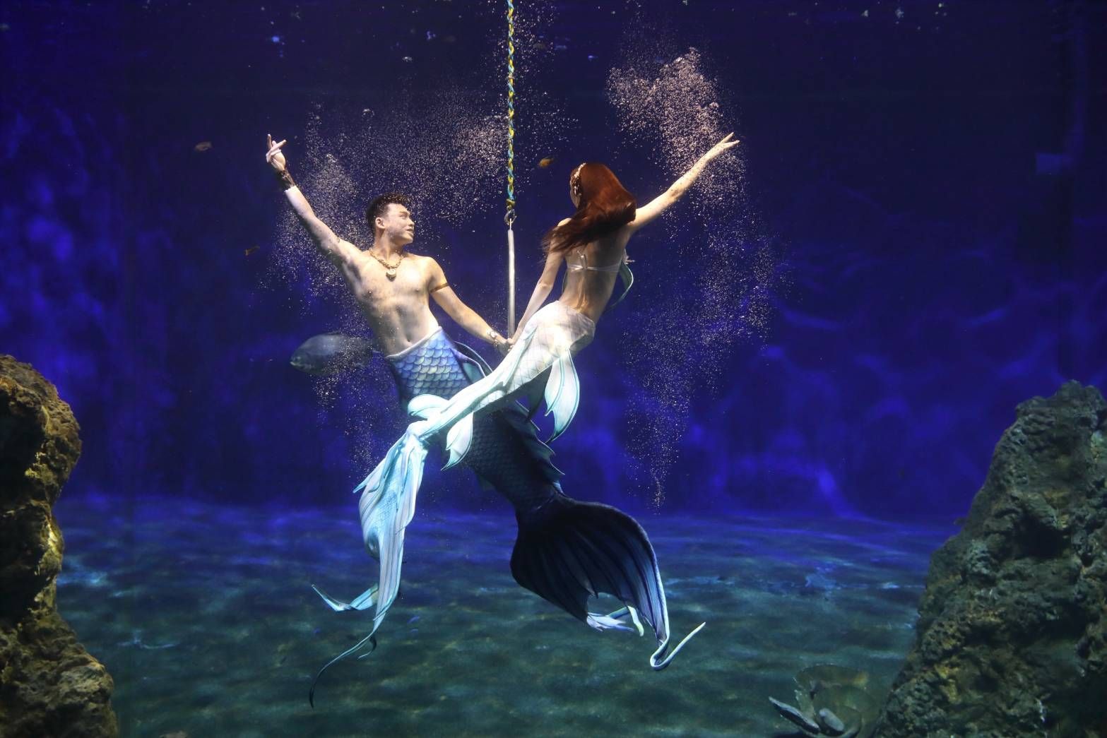 園區深受喜愛的「美人魚」將化身為「海洋守護大使」。（圖／遠雄海洋公園提供）