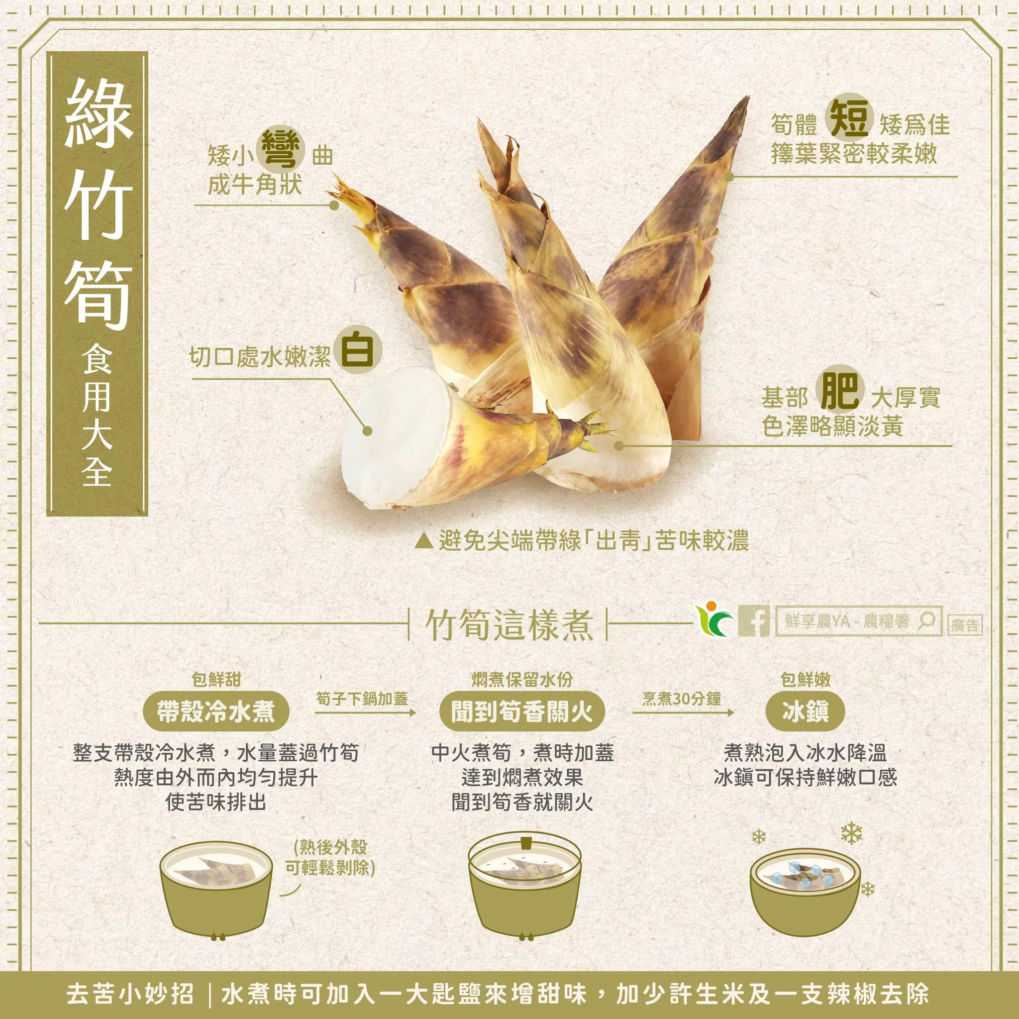 竹筍怎麼煮才不會苦？（圖／取自農糧署臉書）