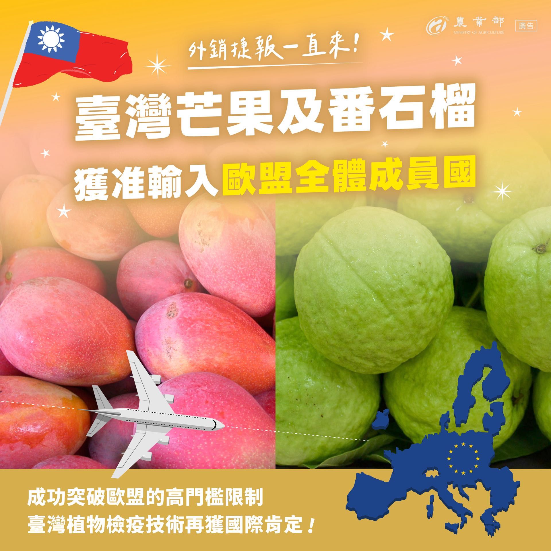 臺灣芒果及番石榴獲准輸入歐盟全體成員國。(圖/農業部)