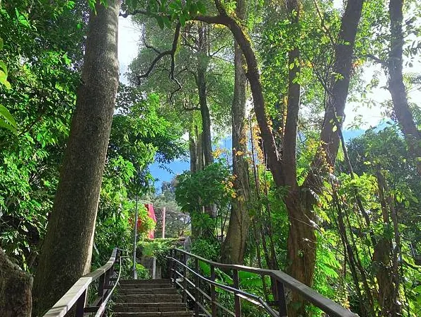 台北捷運旁步道：虎山（奉天宮步道）。（圖／取自輕旅行－美遊記 ）