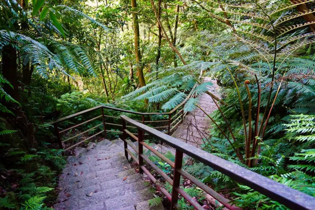 台北捷運旁步道：康樂山親山步道。（圖／取自台北旅遊網）