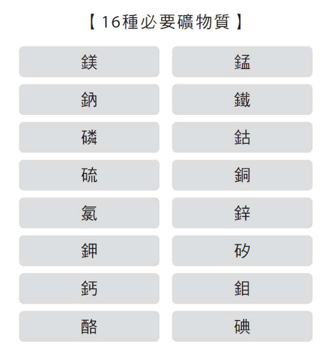 16種必要的礦物質（圖／墨刻提供）