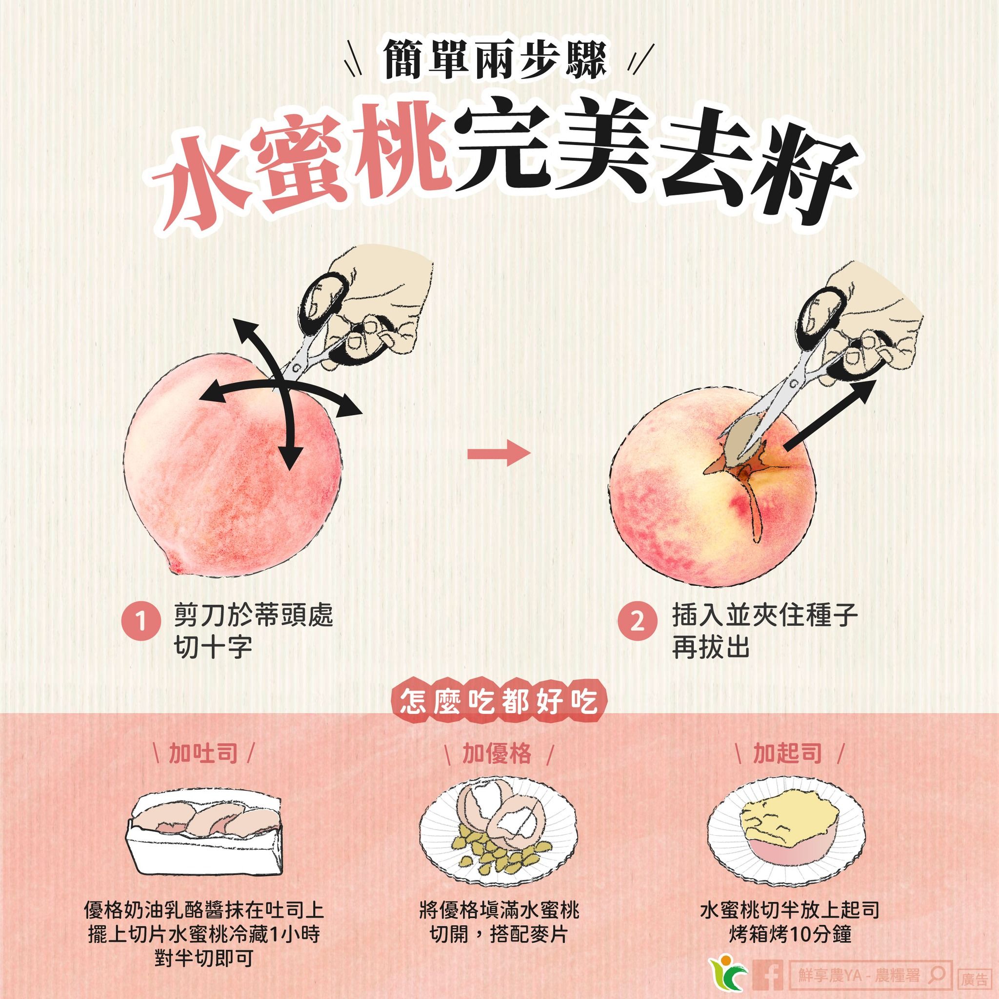 水蜜桃去籽方式。（圖／取自農糧署）