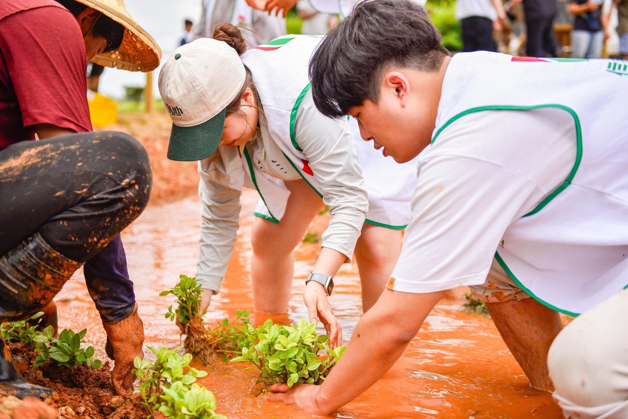 信義志工赤腳踏入桃園和平濕地，參與水塘修復與水生植物復育。（圖／信義房屋提供）